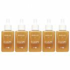 10x Elleure Modeler Olie 50ml