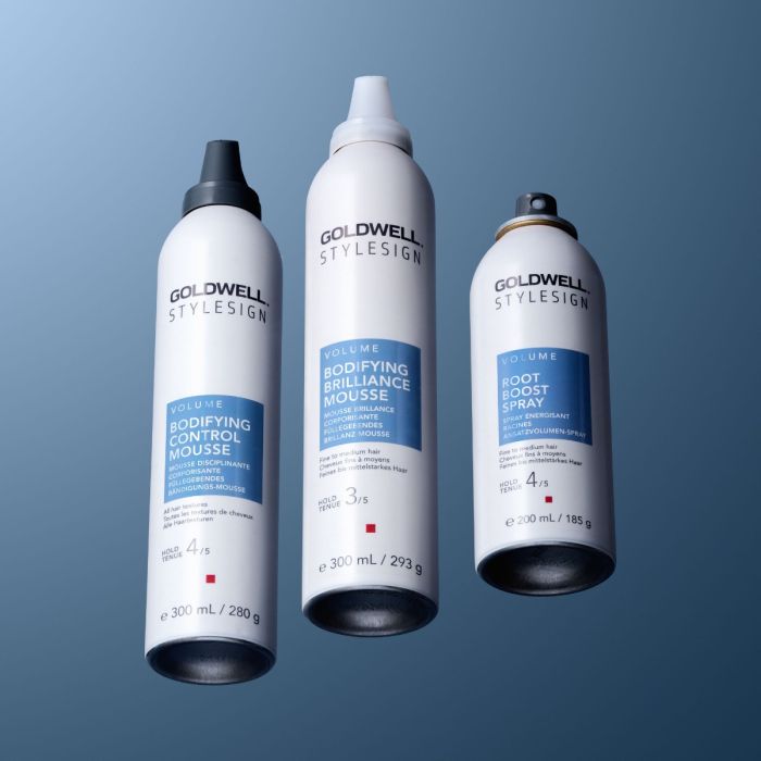 5x Stylesign Bodifying Control Mousse 300ml