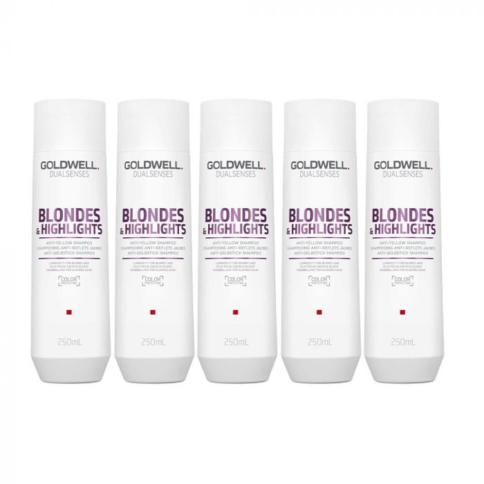 10x Goldwell Dualsenses Blondes & Highlights Anti-Yellow Shampoo 250ml main product photo