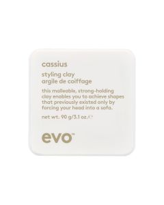 Evo Cassius Styling Clay 90gr