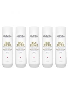 5X Goldwell Dualsenses Rich Repair Restoring Shampoo 250ml