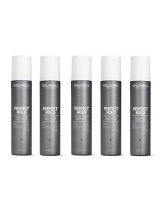 10x Goldwell StyleSign Big Finish Hair Spray 300ml