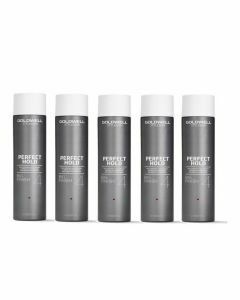 10x Goldwell StyleSign Big Finish Hair Spray 500ml