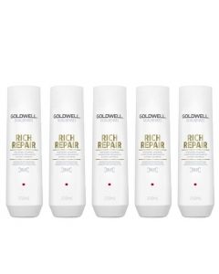 10x Goldwell Dualsenses Rich Repair Restoring Shampoo 250ml